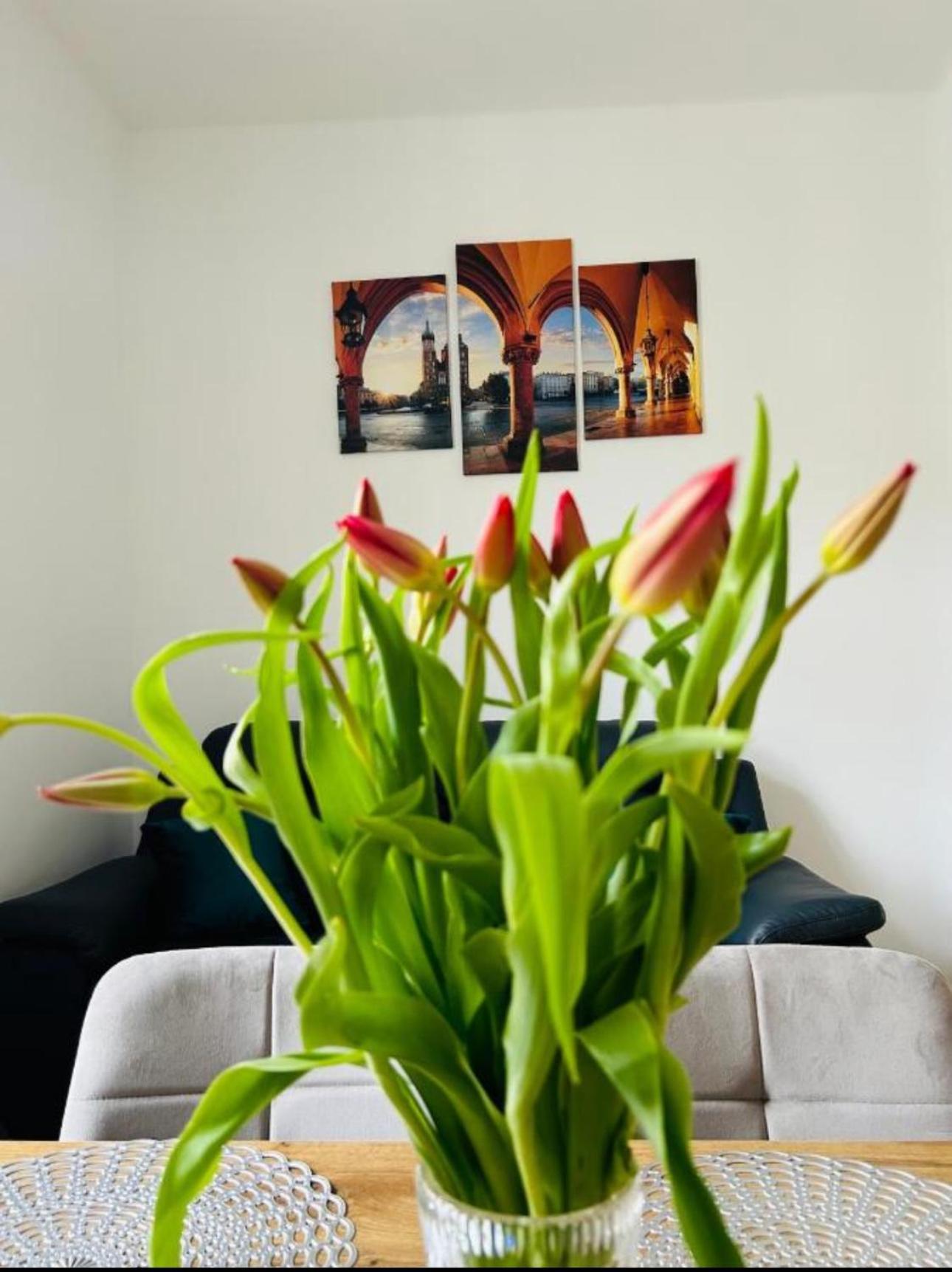 Apartament Divon Old Town